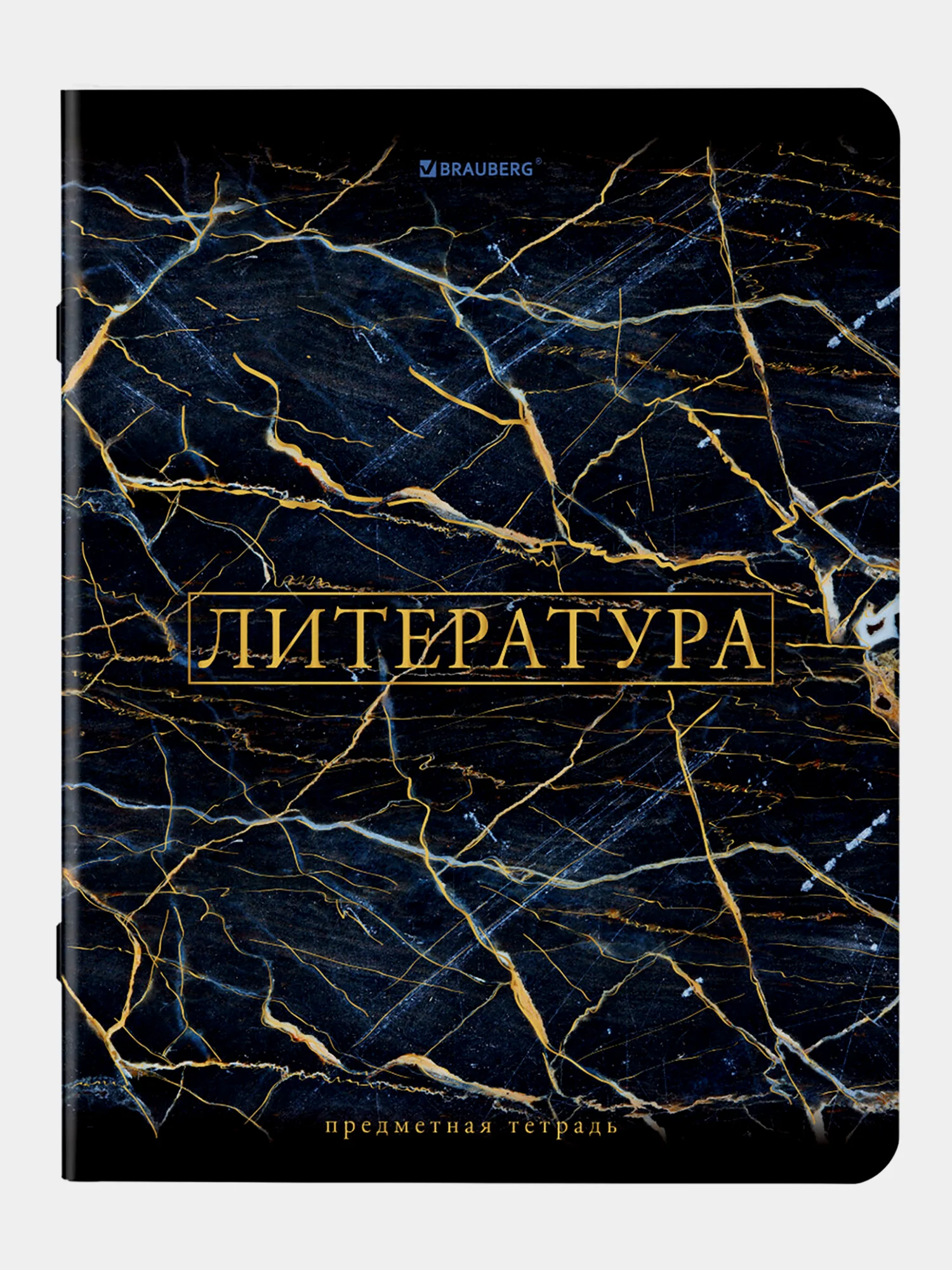 Тетради предметные школьные, в клетку / линейку Комплект 12 Предметов, Marble, 48 л.
