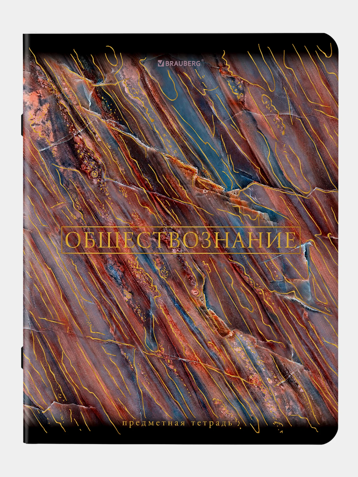 Тетради предметные школьные, в клетку / линейку Комплект 12 Предметов, Marble, 48 л.