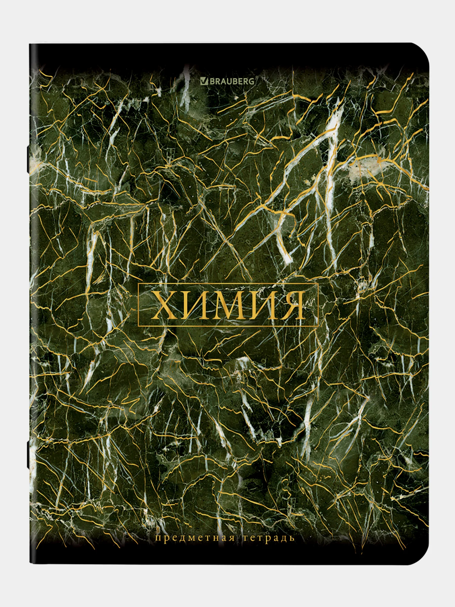 Тетради предметные школьные, в клетку / линейку Комплект 12 Предметов, Marble, 48 л.