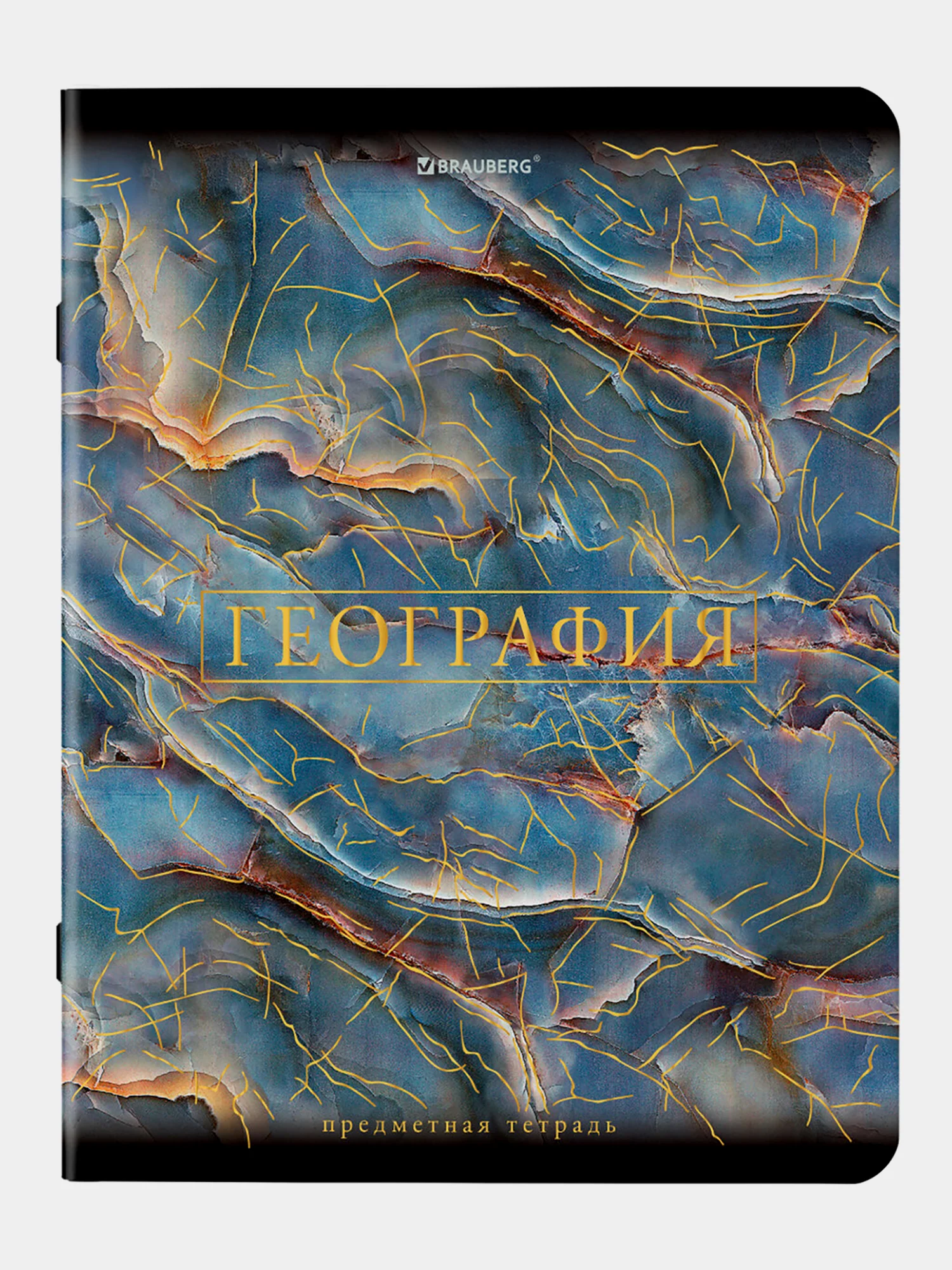 Тетради предметные школьные, в клетку / линейку Комплект 12 Предметов, Marble, 48 л.