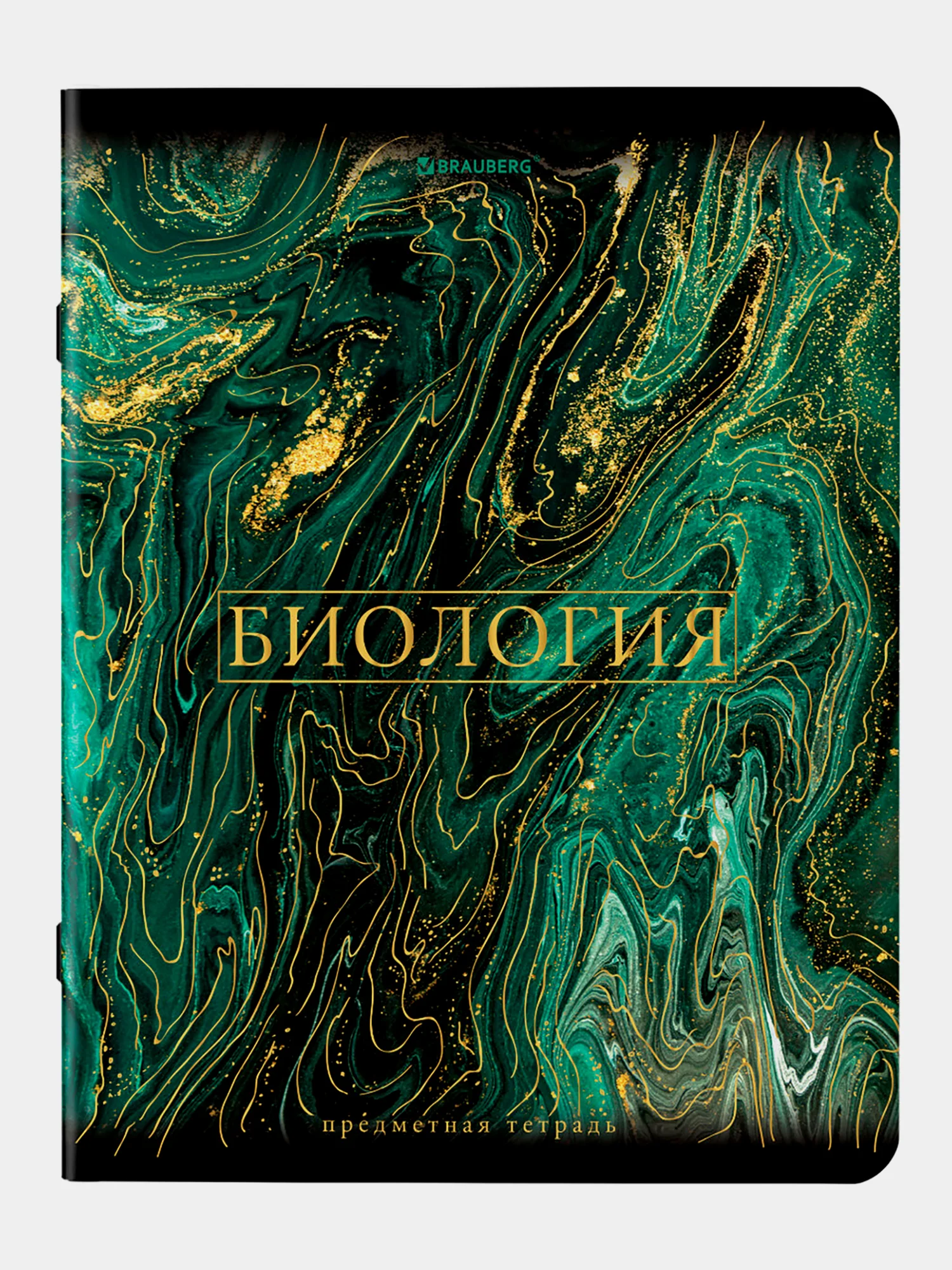 Тетради предметные школьные, в клетку / линейку Комплект 12 Предметов, Marble, 48 л.
