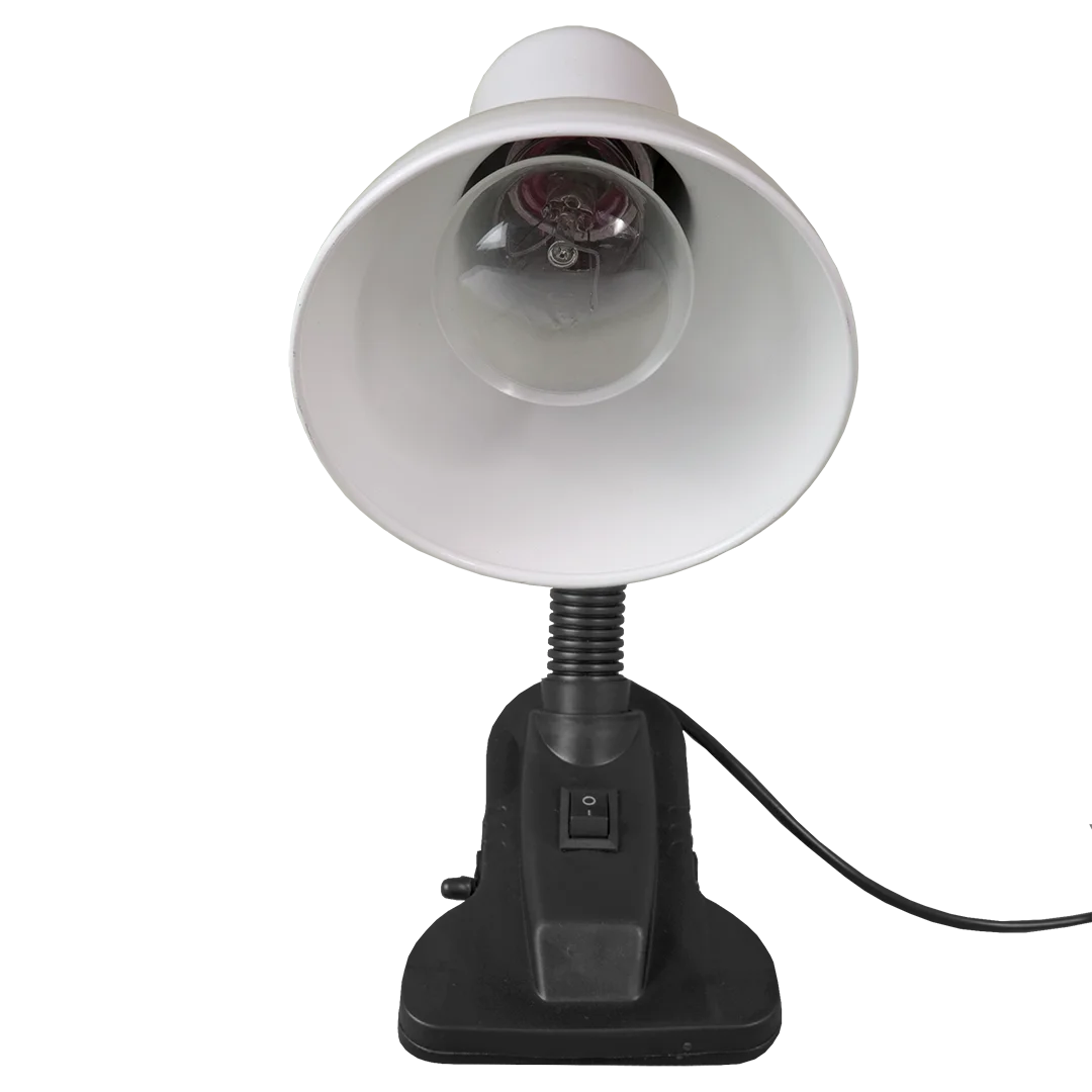 Белый настольный светильник Е27 GLANZEN DL-0001-40-C-white с основанием белый / настольная лампа