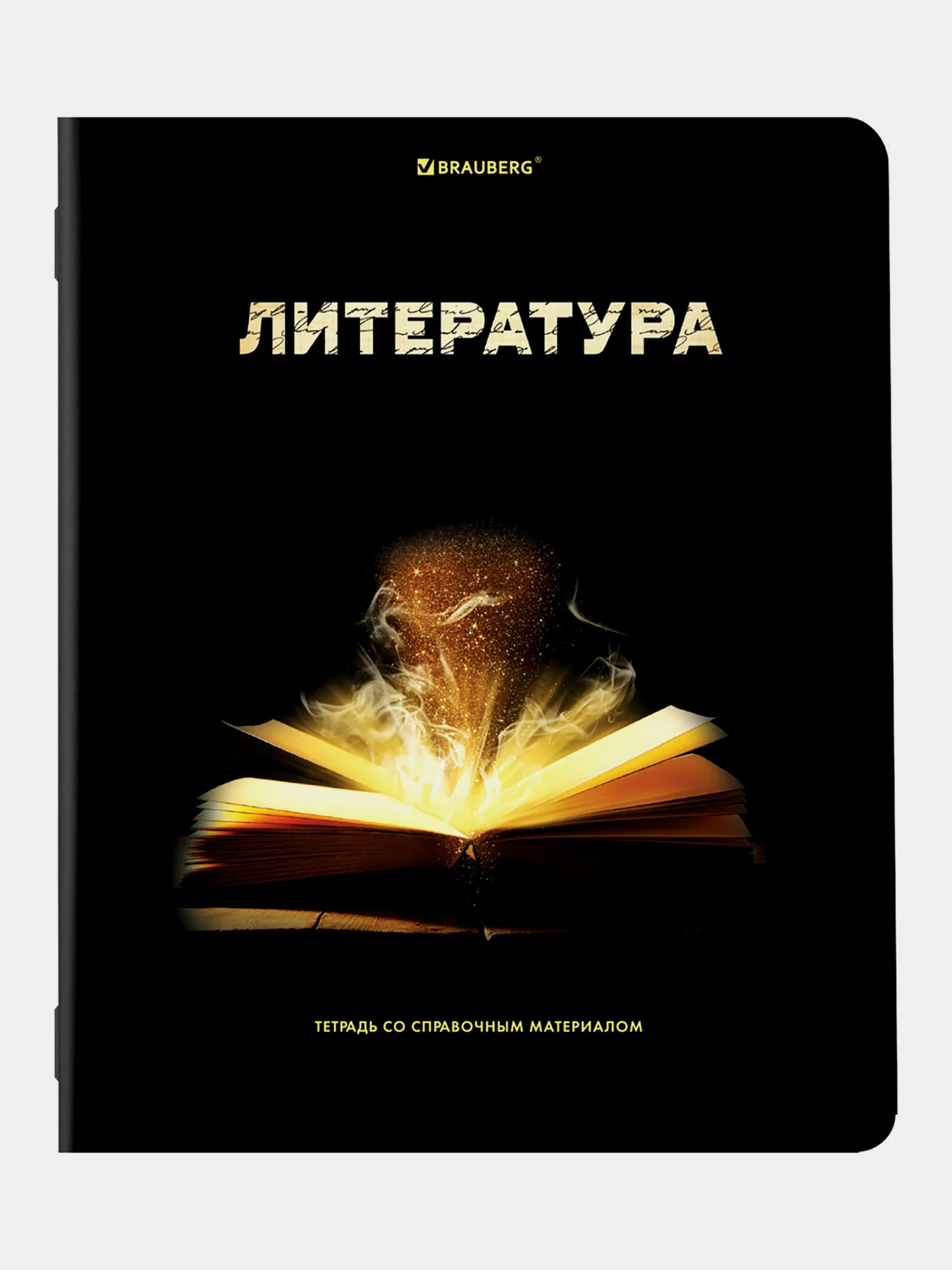 Тетради предметные школьные, в клетку / линейку, Комплект 12 Предметов, Shade, 48л