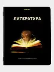 Тетради предметные школьные, в клетку / линейку, Комплект 12 Предметов, Shade, 48л