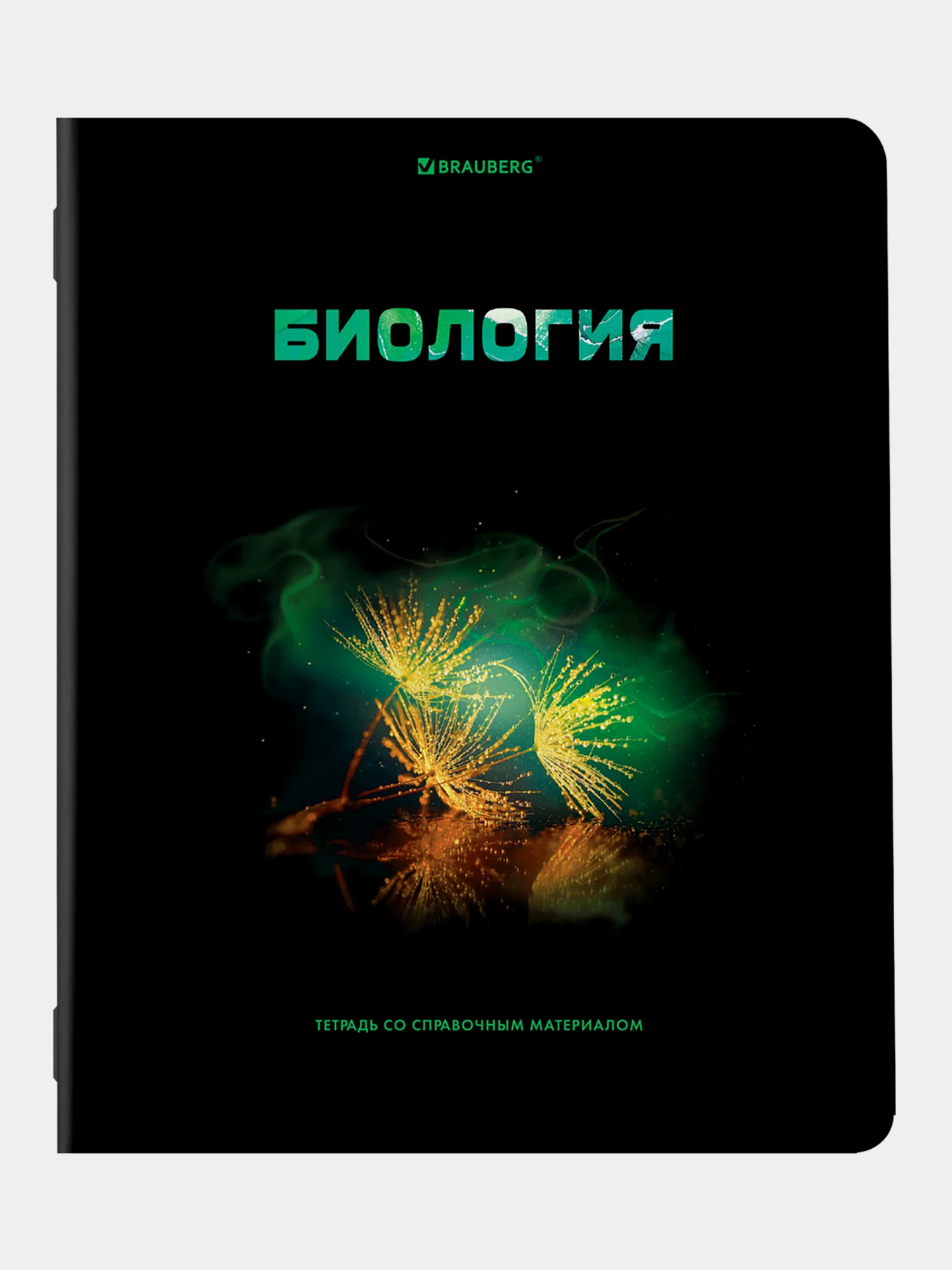 Тетради предметные школьные, в клетку / линейку, Комплект 12 Предметов, Shade, 48л