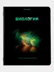 Тетради предметные школьные, в клетку / линейку, Комплект 12 Предметов, Shade, 48л
