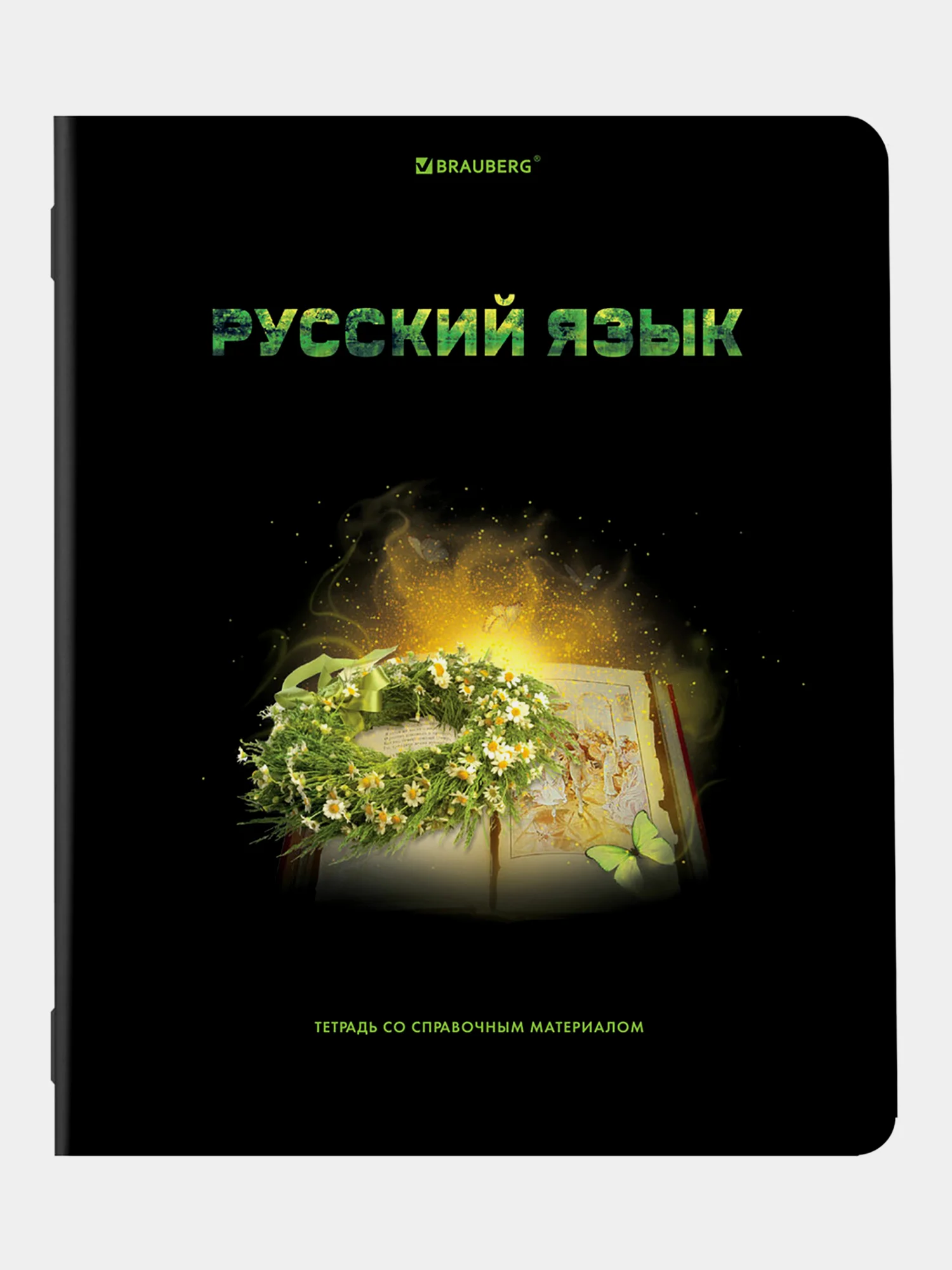 Тетради предметные школьные, в клетку / линейку, Комплект 12 Предметов, Shade, 48л