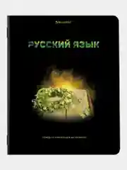 Тетради предметные школьные, в клетку / линейку, Комплект 12 Предметов, Shade, 48л