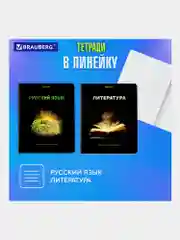 Тетради предметные школьные, в клетку / линейку, Комплект 12 Предметов, Shade, 48л