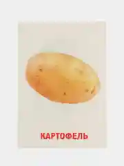Лайм развивающие обучающие карточки по методике Г. Домана