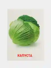 Лайм развивающие обучающие карточки по методике Г. Домана