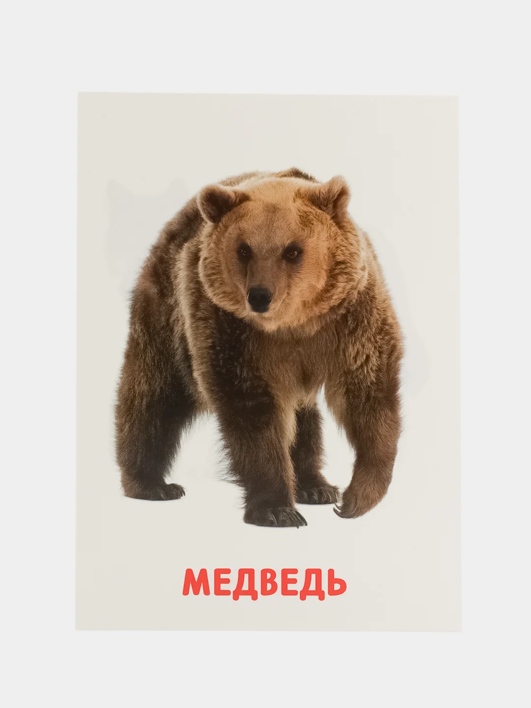 Оранжевый развивающие обучающие карточки по методике Г. Домана