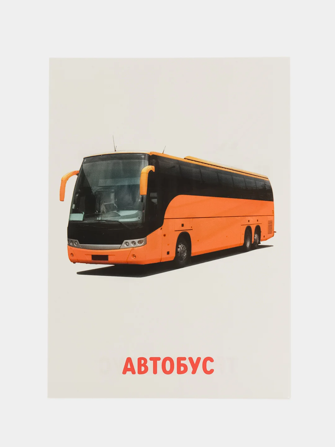 Коралловый развивающие обучающие карточки по методике Г. Домана