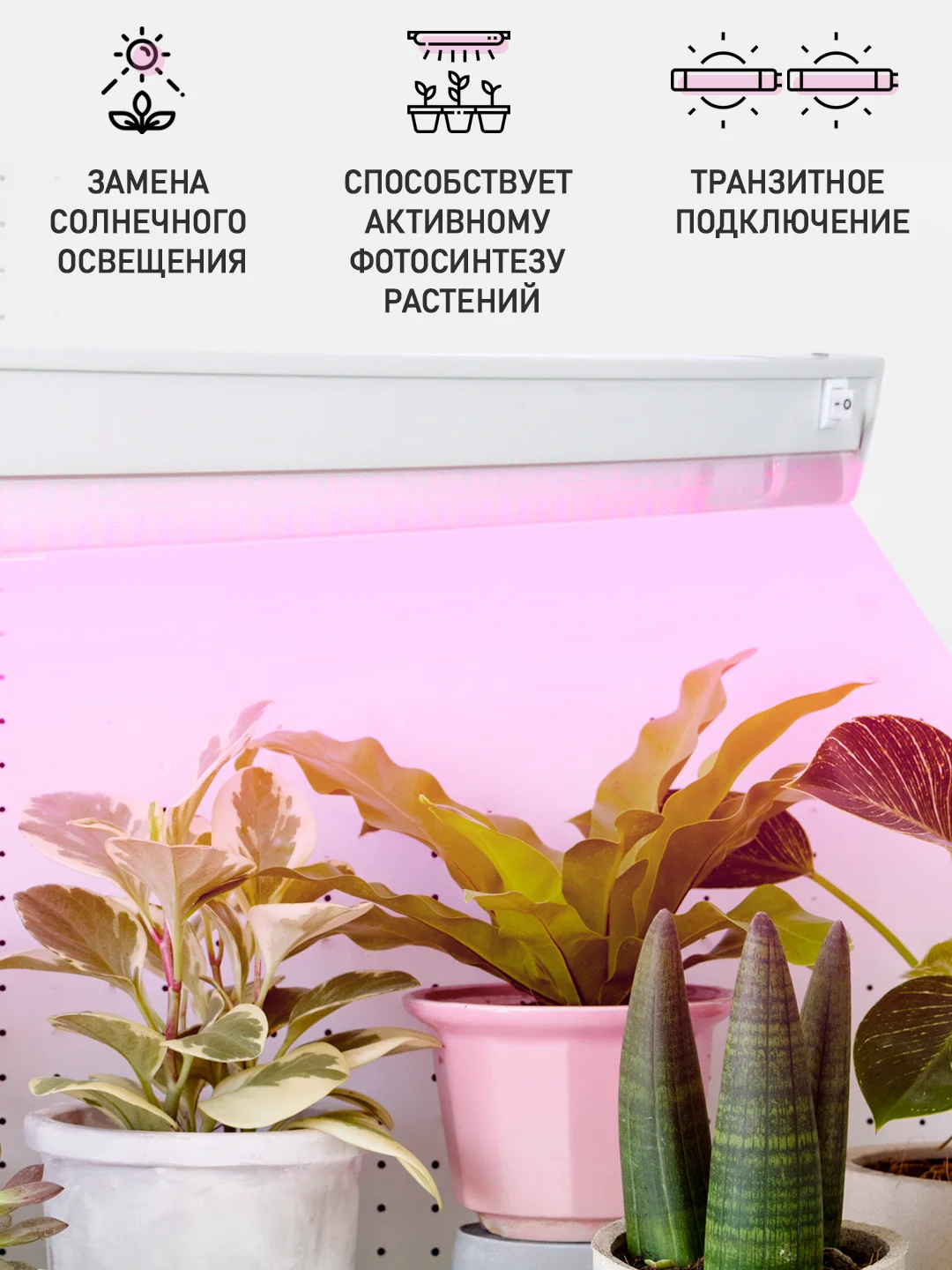 Светодиодный линейный фитосветильник/фитолампа для растений 10 Вт RPD-0600-10-fito 600 мм