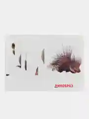 Желтый развивающие обучающие карточки по методике Г. Домана