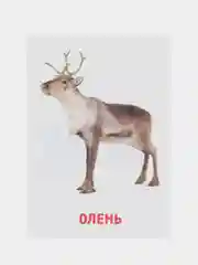 Желтый развивающие обучающие карточки по методике Г. Домана