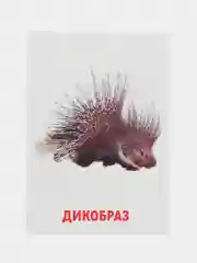 Желтый развивающие обучающие карточки по методике Г. Домана