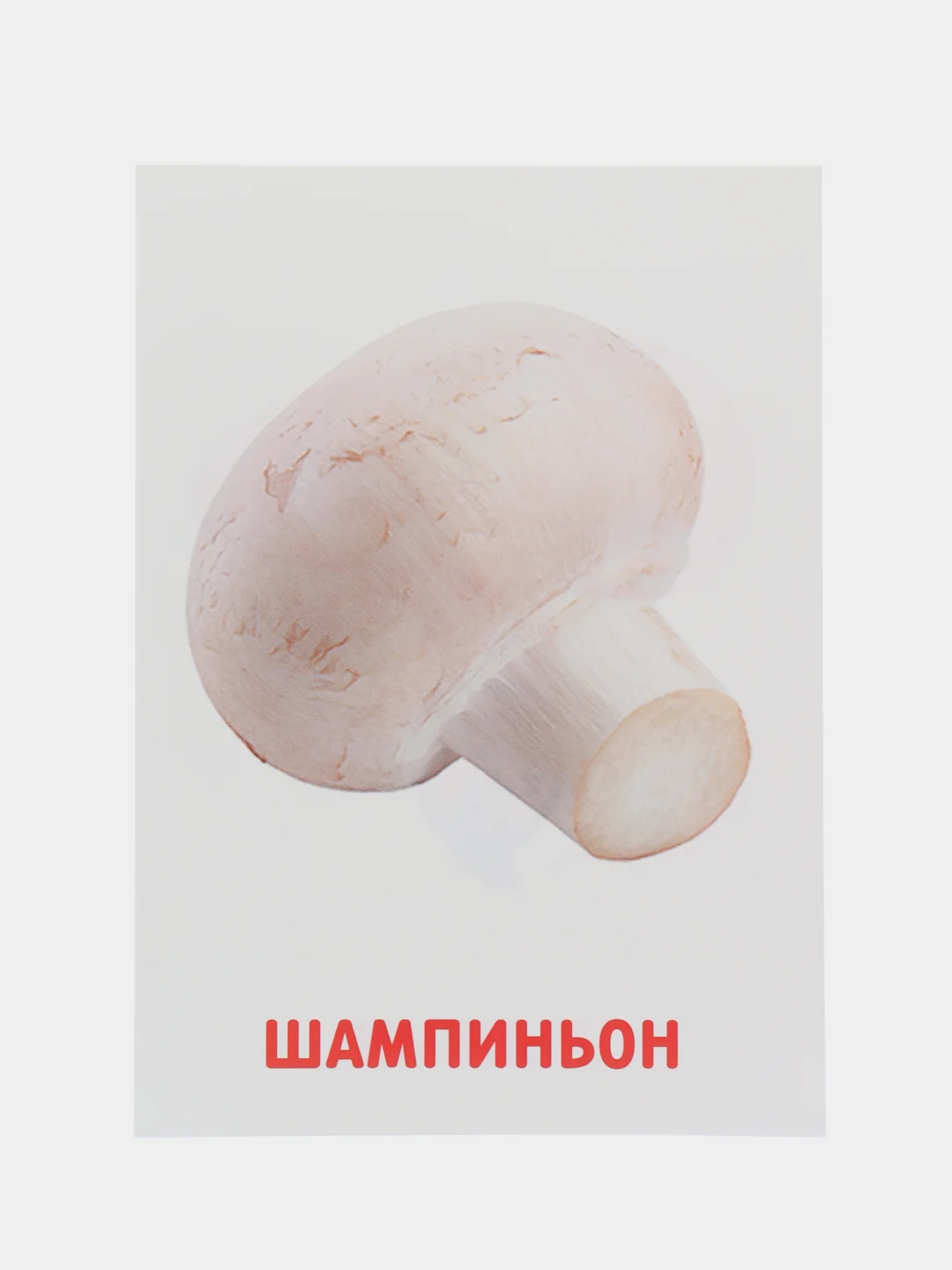 Зеленый развивающие обучающие карточки по методике Г. Домана