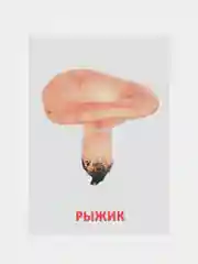 Зеленый развивающие обучающие карточки по методике Г. Домана