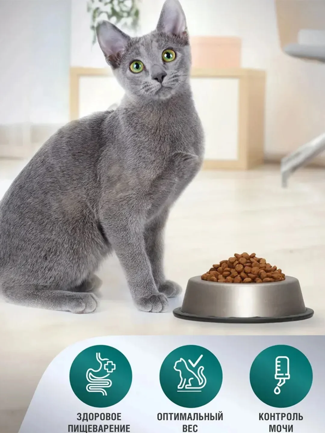 Сухой корм для кошек Zoogurman Sterilized, индейка, 1,5 кг