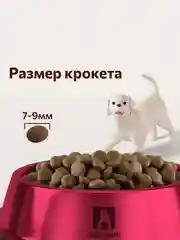 Полнорационный сухой корм Зоогурман Supreme, телятина, для малых и средних пород, 10 кг