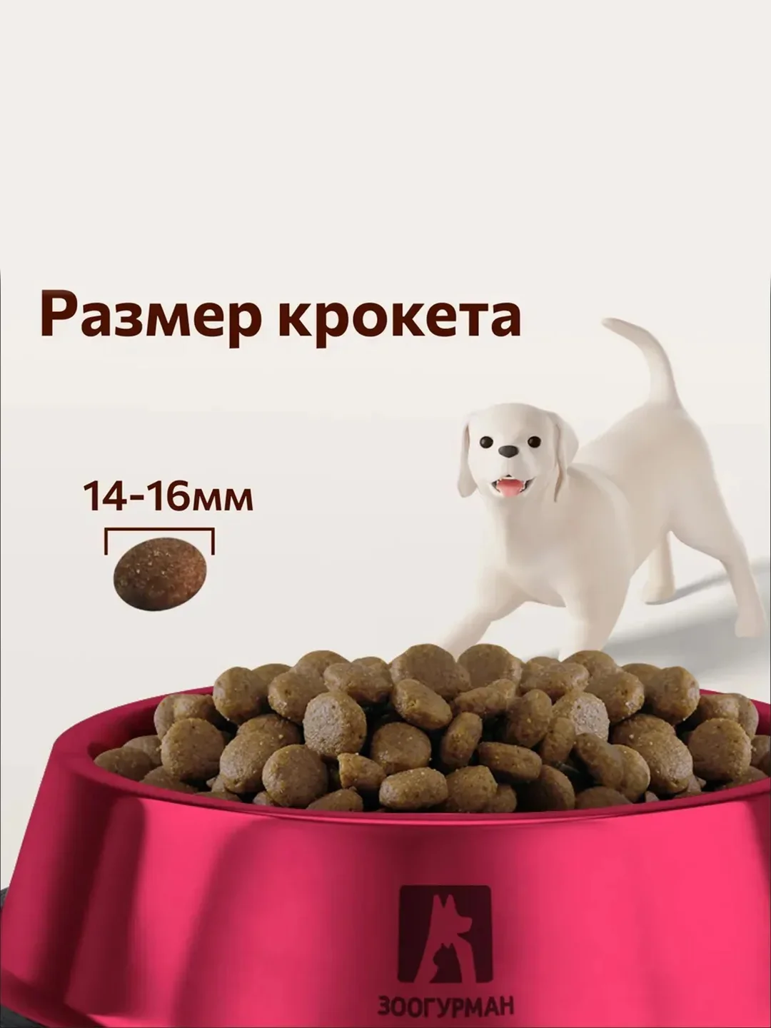 Полнорационный сухой корм Big Dog, говядина, 5 кг