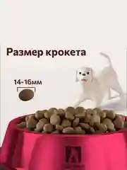 Полнорационный сухой корм Big Dog, говядина, 5 кг