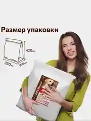 Полнорационный сухой корм Big Dog, говядина, 5 кг