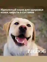 Полнорационный сухой корм Big Dog, говядина, 5 кг