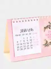 Розовый календарь настольный, домик, 2025 год, 16,9 х 14 см