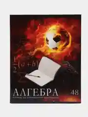 Бежевый меланж комплект тетрадей 48 листов, 10 предметов со справочным материалом 4 вида
