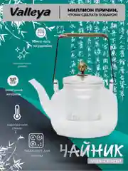 Чайник заварочный "Бохэ", ручка с обмоткой, 800 мл