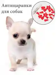 Красный силиконовые накладки-антицарапки на когти собак, 20 штук