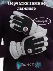 Серебряный варежки/перчатки зимние, лыжные сенсорные с теплым подкладом