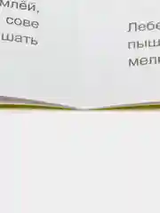 Раскраска Птицы 8 страниц А4