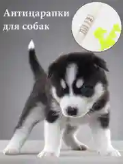 Желтый силиконовые накладки-антицарапки на когти собак, 20 штук