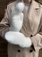 Белый варежки женские, зимние, теплые, белые, пушистые