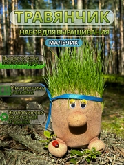 Набор для выращивания Травянчика
