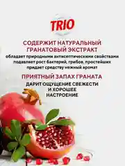 Средство для мытья посуды Kerasys Trio "Гранат", 700 мл