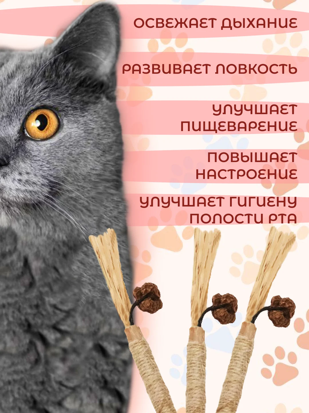 Палочка-дразнилка из растения Мататаби: полезное лакомство для кошек