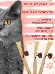 Палочка-дразнилка из растения Мататаби: полезное лакомство для кошек