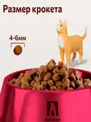 Полнорационный сухой корм для кошек Zoogurman Hypoallergenic, Лосось с рисом, 10 кг
