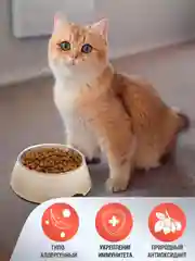 Полнорационный сухой корм для кошек Zoogurman Hypoallergenic, Лосось с рисом, 10 кг
