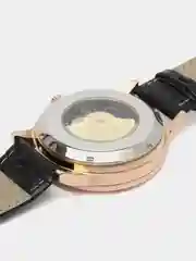 Черный часы механические мужские TEVISE GOLD скелетоны с автоподзаводом, водостойкие