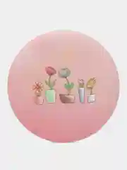 Мятный карманное зеркало