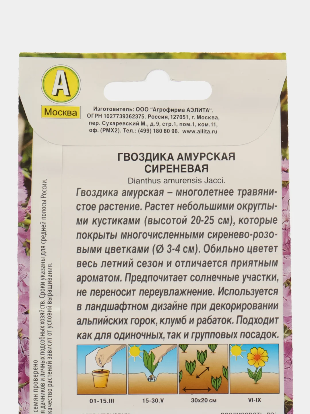Гвоздика Амурская сиреневая (семена,цветы)