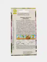 Гвоздика Амурская сиреневая (семена,цветы)