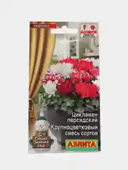 Цикламен Крупноцветковый, смесь сортов (семена,цветы)