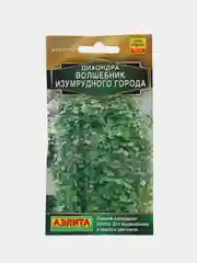 Дихондра Волшебник Изумрудного города (семена,цветы)