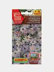 Брахикома Ромашка кадриль, смесь сортов (семена,цветы)